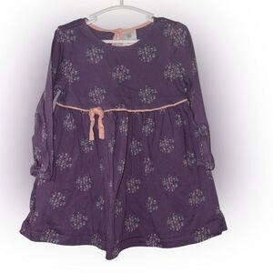 Size 2 Hanna andersson purple dress